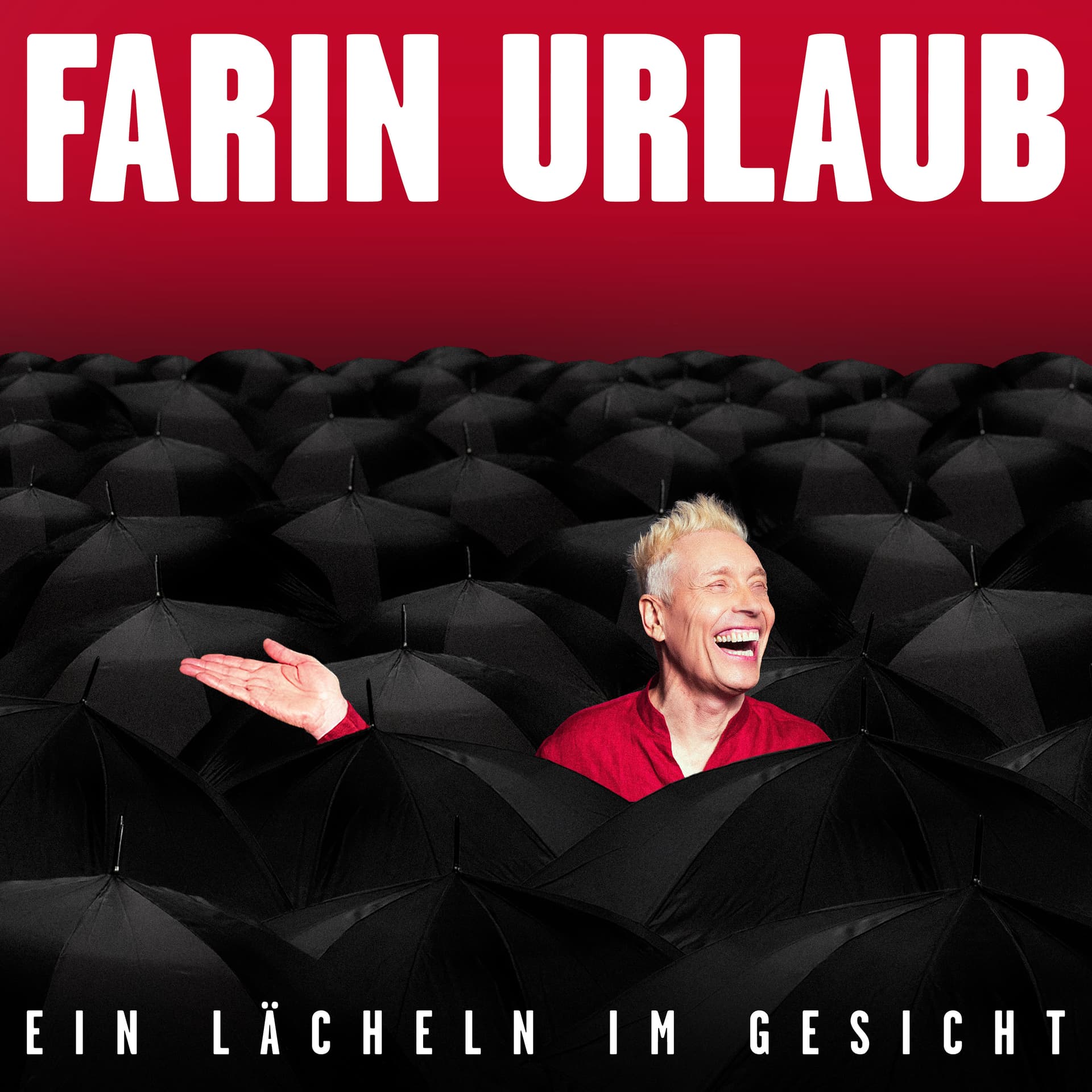 Ein Lächeln im Gesicht Cover